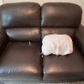 Free 2 & 3 seater sofas (with covers) Image 8