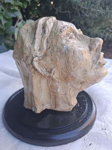 National College of Art Mid Century Paster Of Paris Mounted Bust