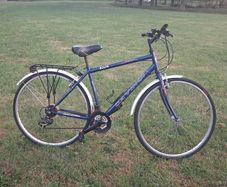 Adult Bike