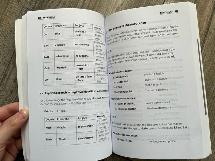 Collins easy learning Irish grammar