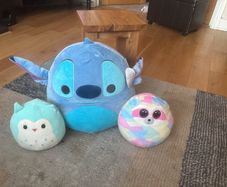 squishmallows for Free, Artane