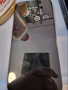 Apple iPhone 15 Pro Max mint condition