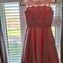 Conformation Dress Image 2
