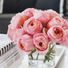 Pinkrose111