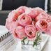 Pinkrose111