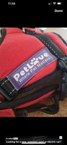 Dog harness
