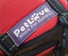 Dog harness