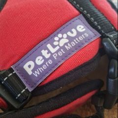 Dog harness
