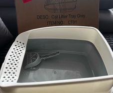 cat litter try