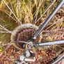 trek bicycle Image 6