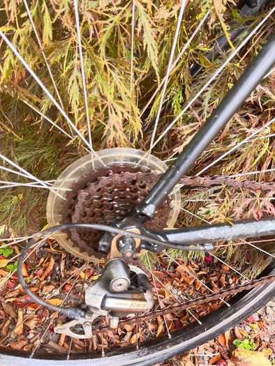 trek bicycle