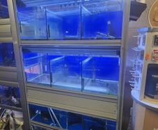Retail fish unit