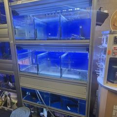 Retail fish unit