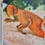 Red fox -oil paint - framed Image 5