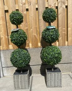 Pair of artificial boxwood trees