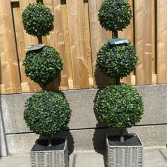 Pair of artificial boxwood trees