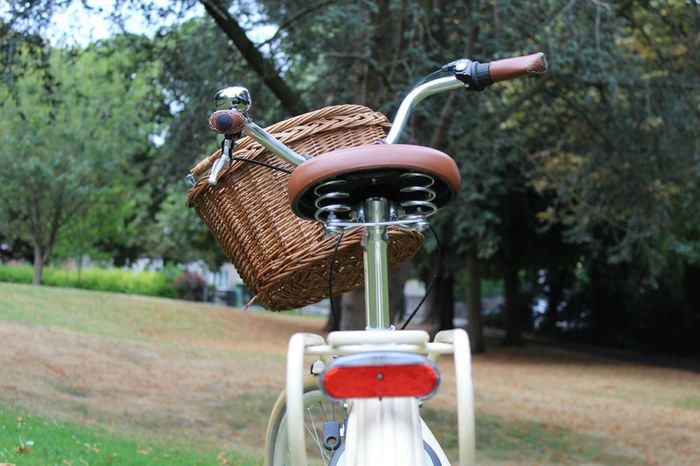 Popal Ladies Dutch Bike 28 Inch 3 Speed Basil Wicker Basket