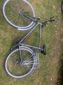 Townsend vintage hybrid/townbike
