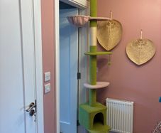 Cat Tree