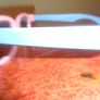 Katy Pery  "Part of Me" Real 3 D Glasses for Sale Image 2