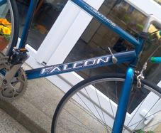 Falcon xanthos racing bike