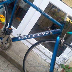 Falcon xanthos racing bike