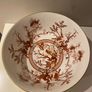 COALPORT Large 10 inchquality Centrepiece bowl vintage Indian Tree Coral and beautiful quality Image 3