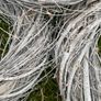 wicker wreaths Image 2