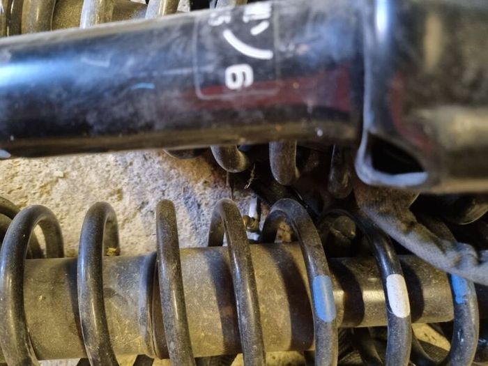 suspension strut springs