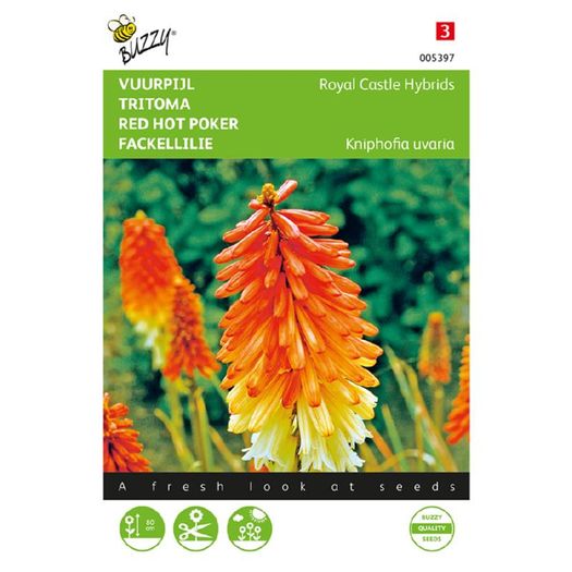 (T) Kniphofia Royal Castle Hybrids Seeds Torch Lily seeds 0.75g
