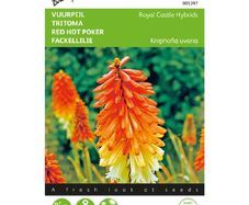 (T) Kniphofia Royal Castle Hybrids Seeds Torch Lily seeds 0.75g
