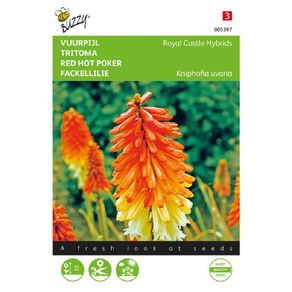 (T) Kniphofia Royal Castle Hybrids Seeds Torch Lily seeds 0.75g