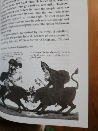 The Irish Famine. An Illustrated History By Helen Litton. First Edition Paperback In Good Condition.