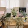 Collection of fake plants and pots Image 5