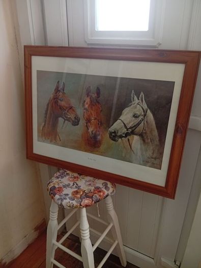 Red rum .arkle and desert orchid picture