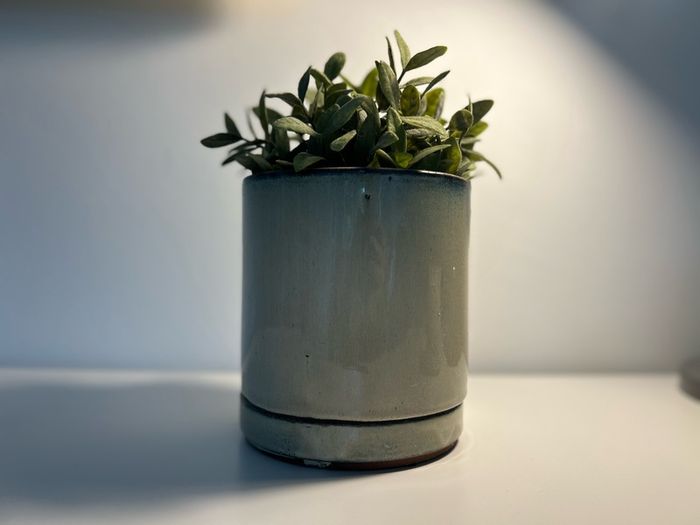 Plant Pot