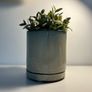 Plant Pot Image 3