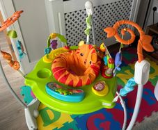 Fisher price rainforest jumperoo
