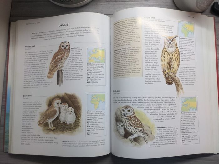 Animals Birds & Fish Of The British Isles