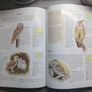 Animals Birds & Fish Of The British Isles Image 5