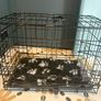 Small puppy crate with cover Image 5