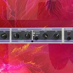 APHEX 104 Aural Exciter - Type C2 with Big Bottom
