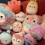 Squishmallows bundle 2 Image 3