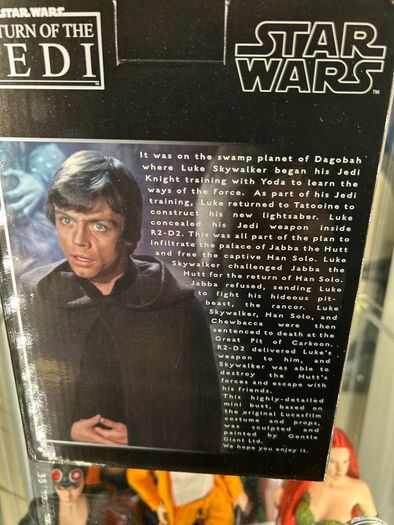 Star Wars Luke Skywalker Jedi Knight Statue Bust by Gentle Giant (Not Hot Toys or Sideshow)