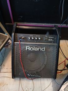 Roland DM-100 Drum Monitor