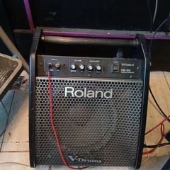 Roland DM-100 Drum Monitor