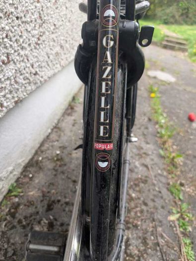 Gazelle bicycle for sale