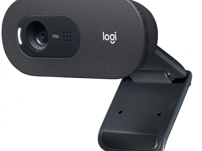 Logitech C505 Hd Webcam