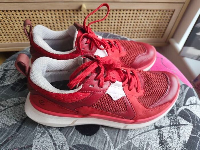 ECCO trainers