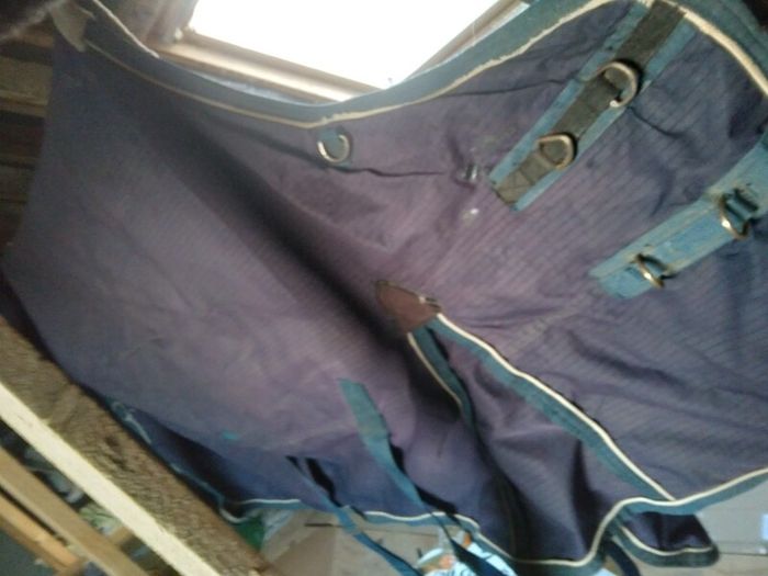 6'0 William Funnel Turnout Rug.Mediumweight